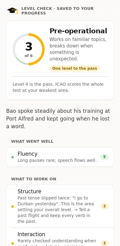 A session report on iPhone: overall level 3 of 6, what went well (fluency) and what to work on (structure, interaction).